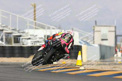 media/Feb-03-2024-SoCal Trackdays (Sat) [[767c60a41c]]/11-Turn 16 (2pm)/